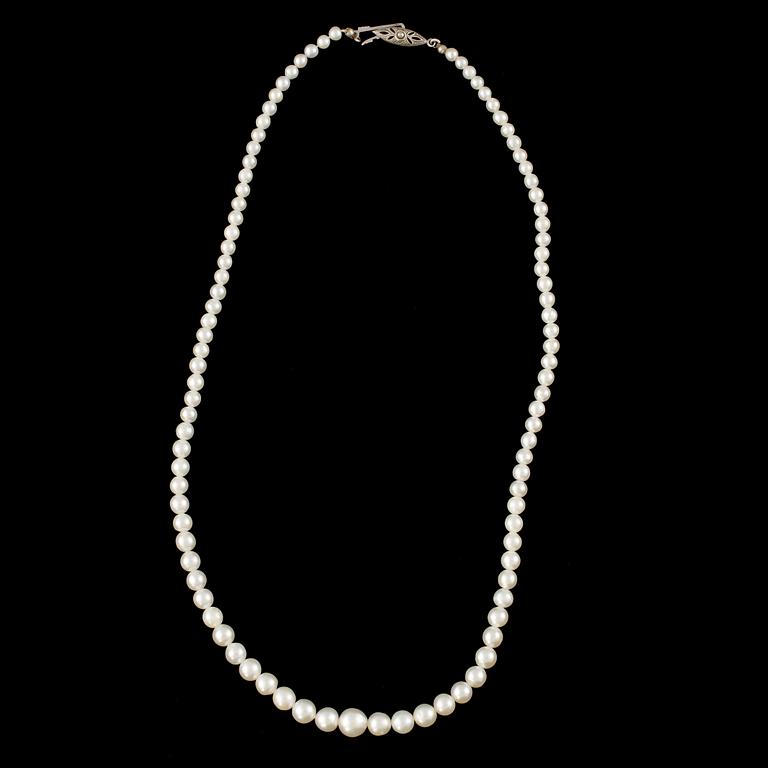 COLLIER, odlade pärlor med silverlås, 1900-tal.