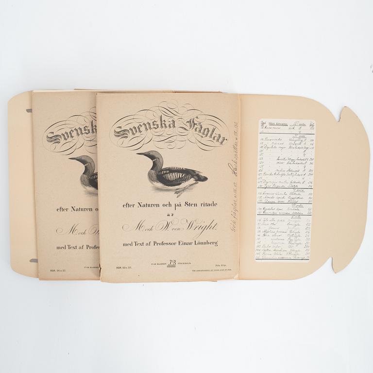 Bröderna von Wright, planschverk, "Svenska Fåglar", Ivar Baarsens förlag, Stockholm, 1920-tal.