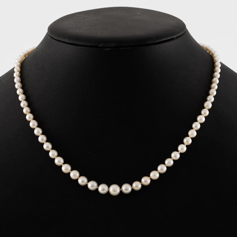 Necklace of cultured pearls, clasp 18K gold.