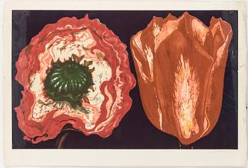 Lowell Nesbitt · LOWELL NESBITT, färgetsning, signerad, numrerad XIV/XXV.