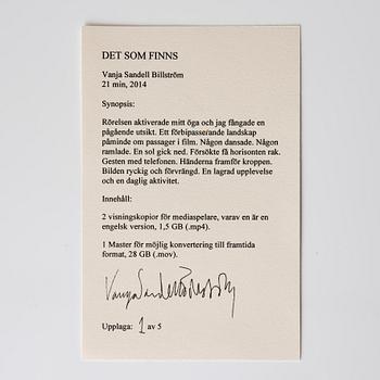Vanja Sandell Billström, "Det som finns", 2014.