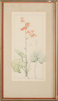 GERDA LYTTKENS, 10 st, akvareller, signerade.