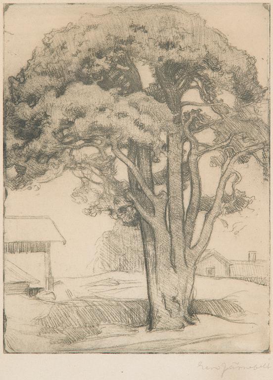 Eero Järnefelt, "Tuomalan mänty I".