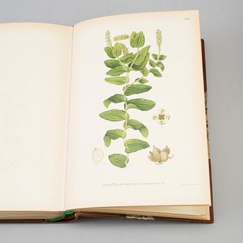 A set of three books, "Bilder ur Nordens Flora", CAM Lindman.