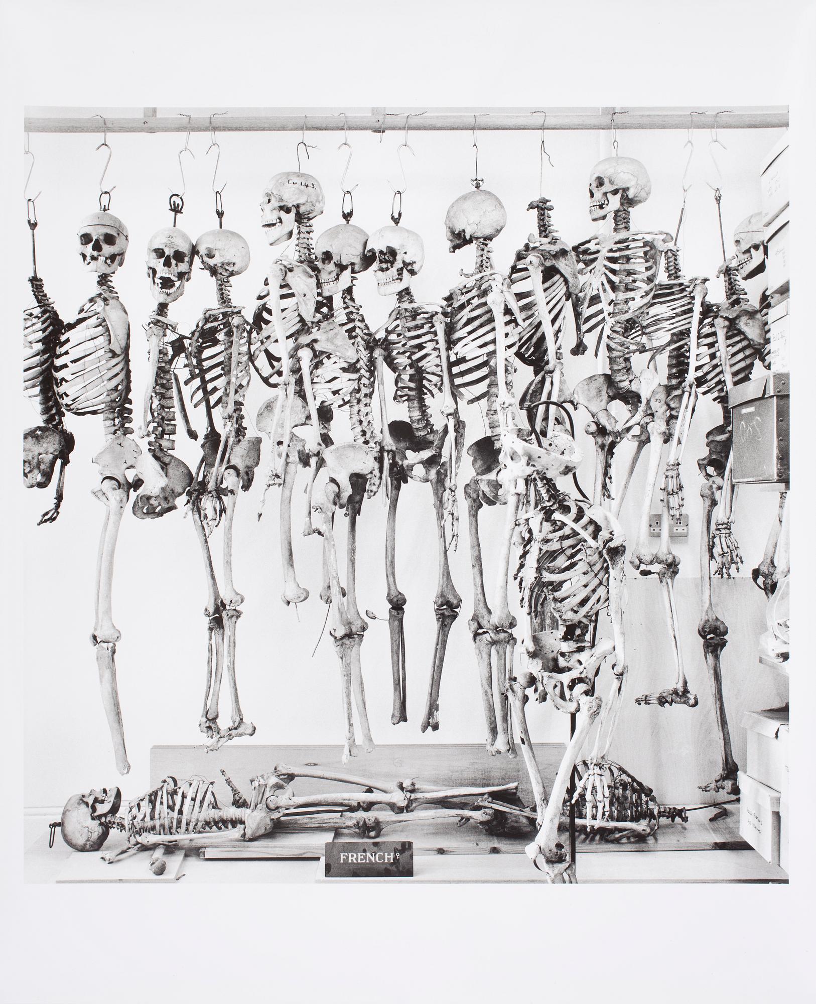 Frederick-Edwin Bertin, French women, The Science Anthropology Dept. Cambridge IV '93.