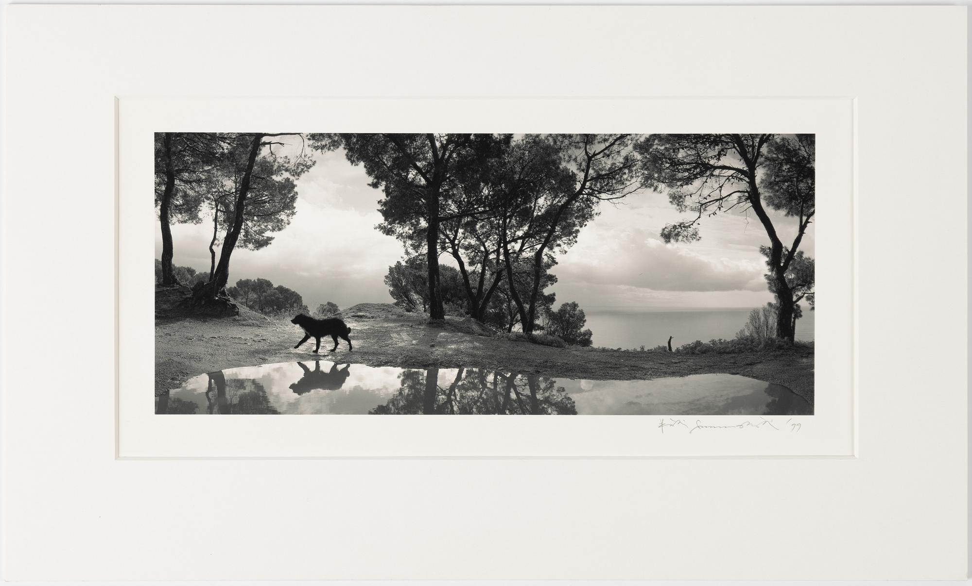 Pentti Sammallahti, "Cilento, Italia, 1999".