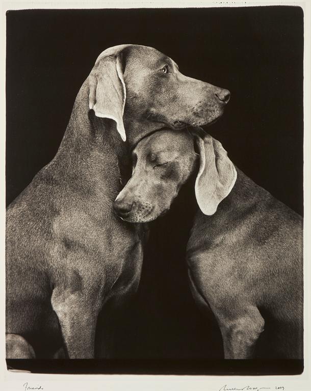 William Wegman, 'Friends'.