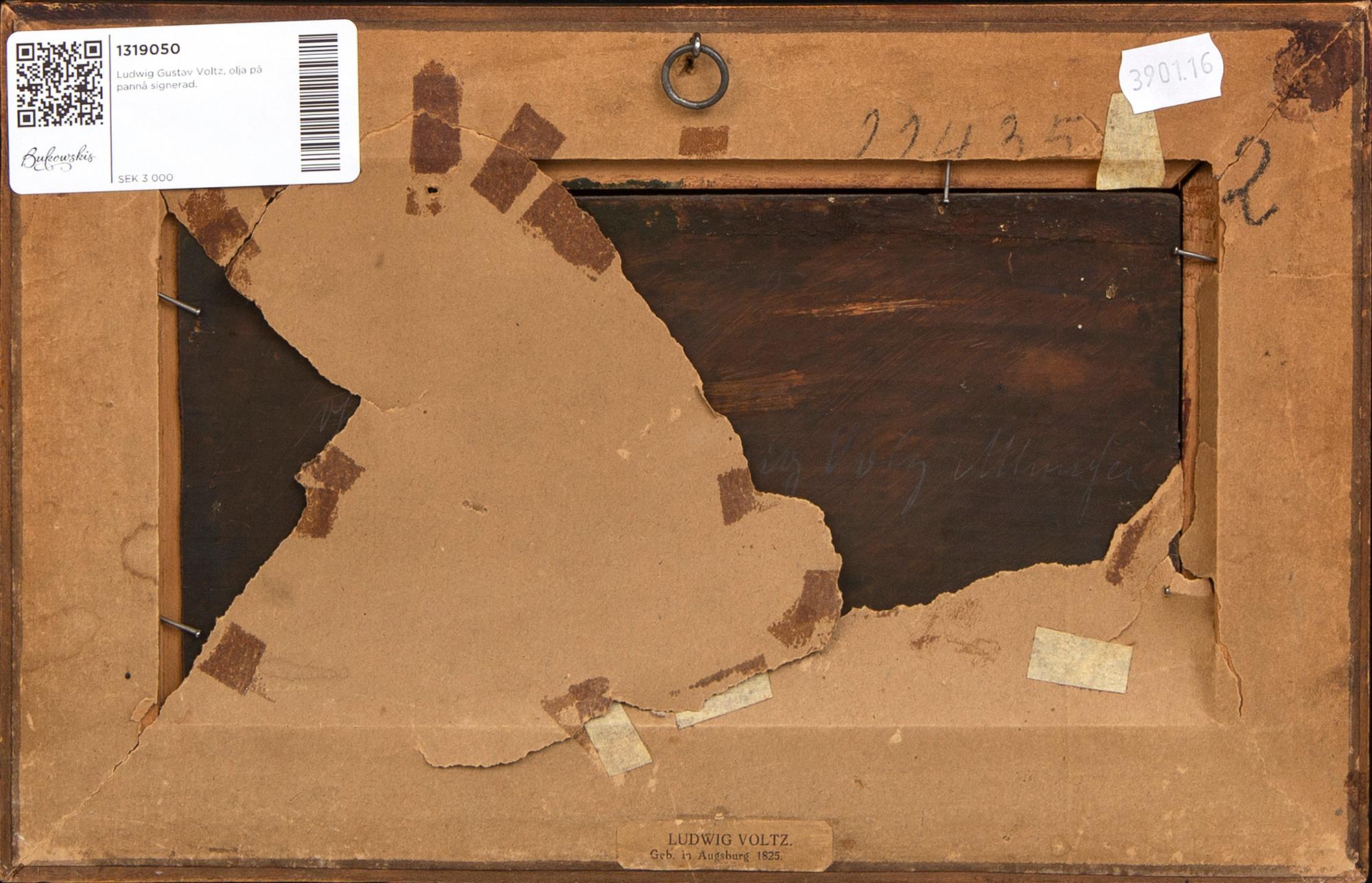 Ludwig Gustav Voltz,