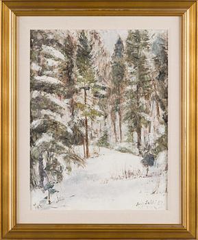 Aares Salli, Winter Forest.
