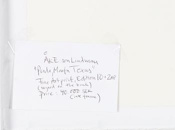 Åke E:son Lindman, "Prada, Marfa, TX", 2015.