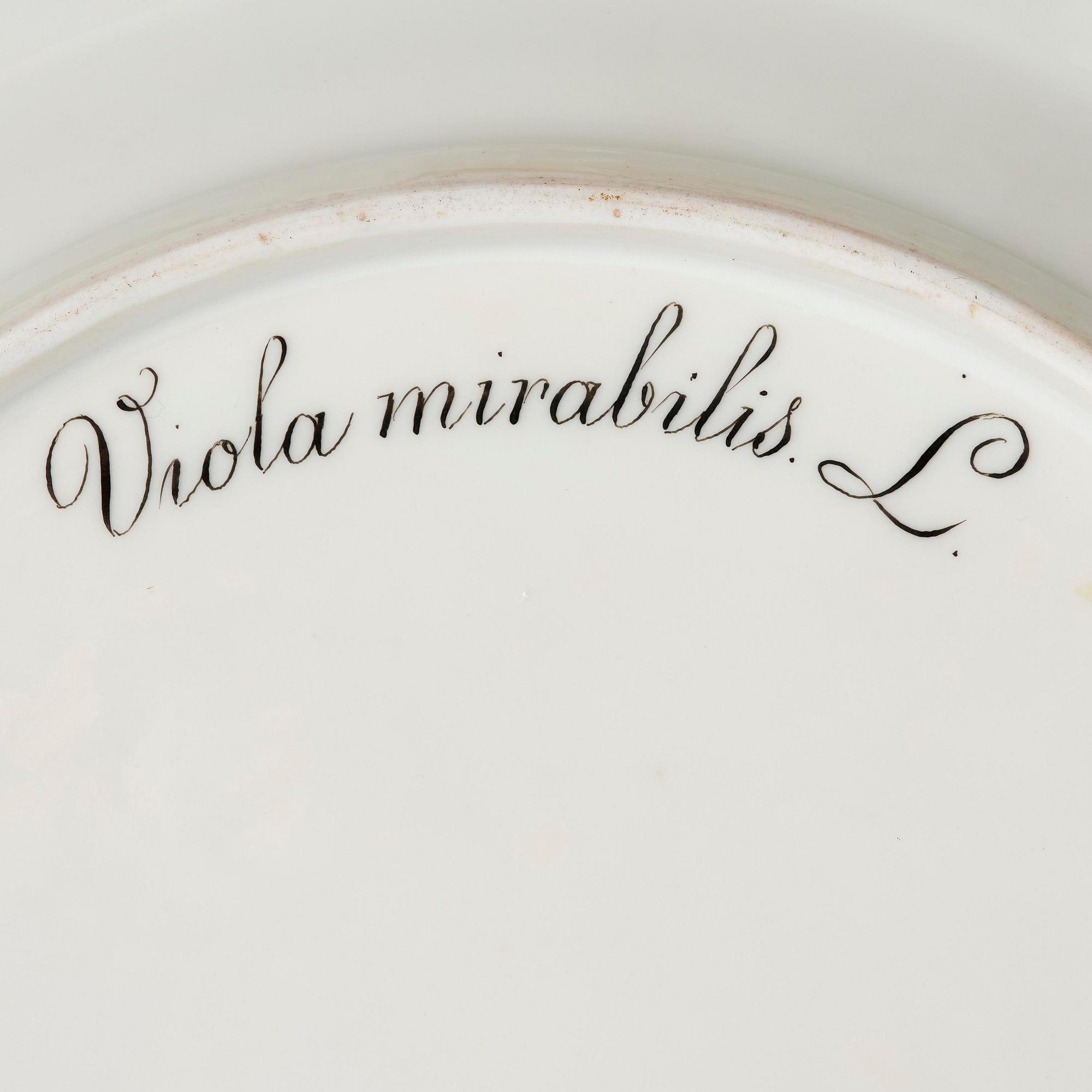 Gallerkorg med fat, porslin. 'Flora Danica', Royal Copenhagen, Denmark, 1900-tal.