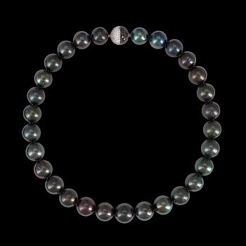 978. COLLIER, odlade Tahiti pärlor, 15,6-13,8 mm, med kullås med svarta och vita briljantslipade diamanter, tot. ca 3 ct.
