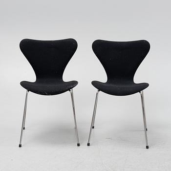 Arne Jacobsen, a set of six 'Series 7' chairs from Fritz Hansen, 21st Century.