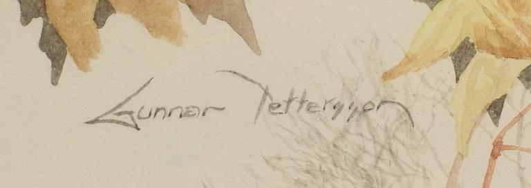 GUNNAR PETTERSSON, akvarell, signerad.