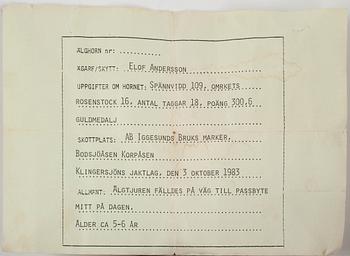JAKTTROFÉ, Älghorn, 18-taggar, 1900-talets sista kvartal.