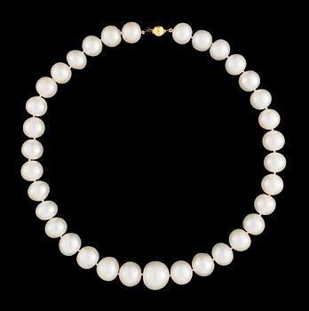 612. A South Sea cultured pearl necklace.