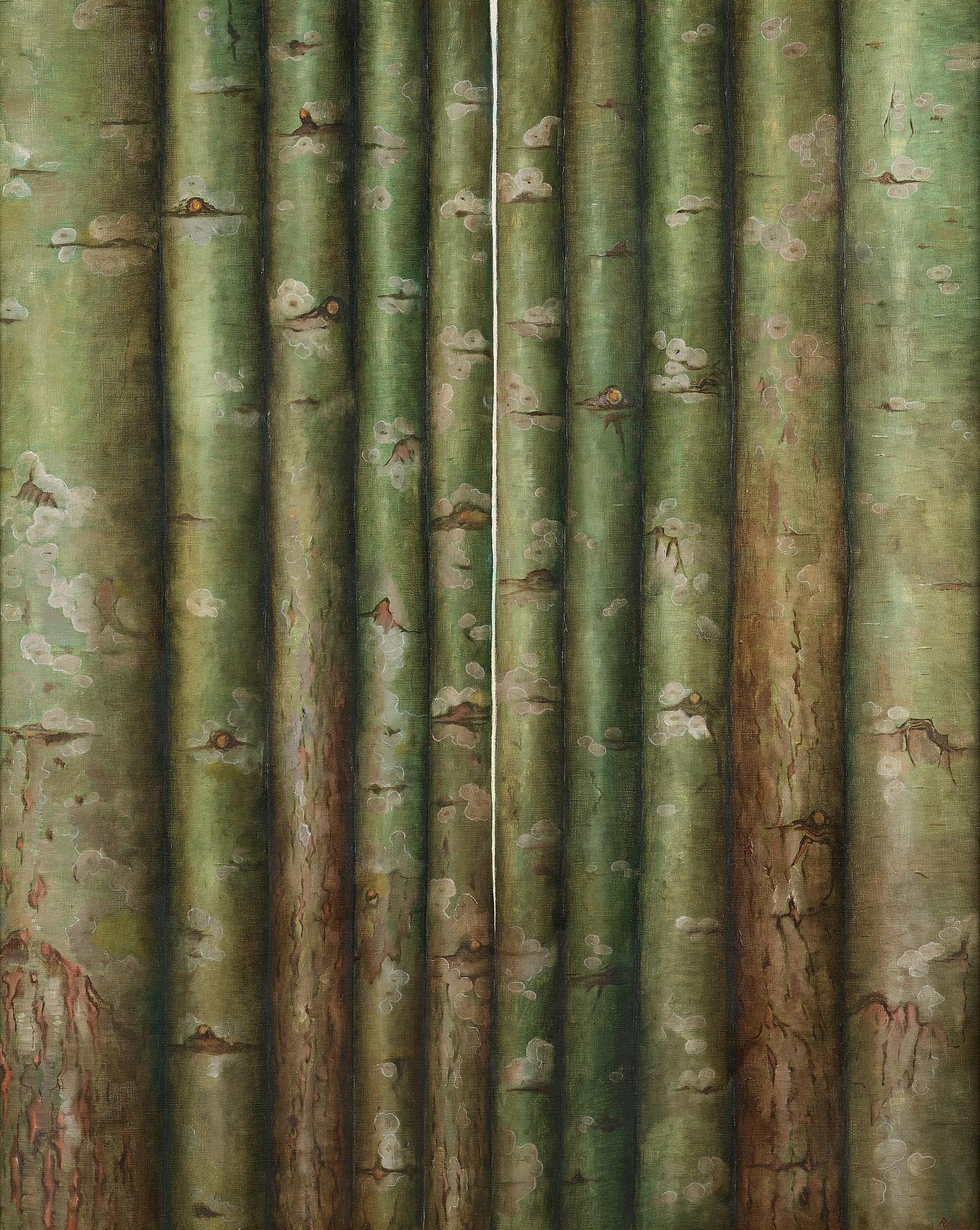 Philip von Schantz, Utan titel.