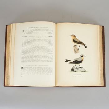 M.W OCH F. VON WRIGHT, 3 vol, Svenska fåglar efter naturen och på sten ritade, text av E. Lönnberg, Stockholm 1927-29.