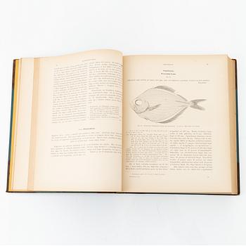 Wilhelm von Wright, 'Skandinaviens fiskar', three volumes, Stockholm, P. A. Norstedt & Söners Förlag, 1892-95.