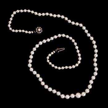 PÄRLCOLLIER, odlade doserade pärlor, silverlås.