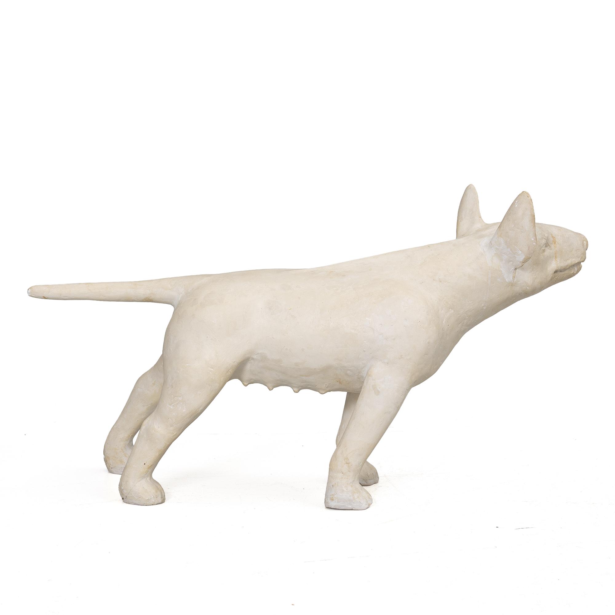 Sonja Pettersson, Bull Terrier.