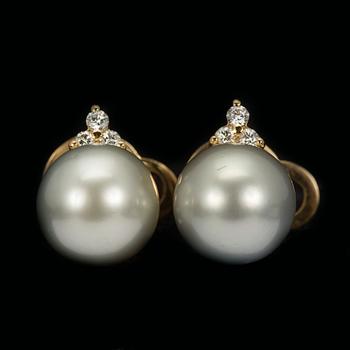 ÖRHÄNGEN, ett par, 14K guld, south sea pärlor, briljantslipade diamanter. Vikt ca 9 g.