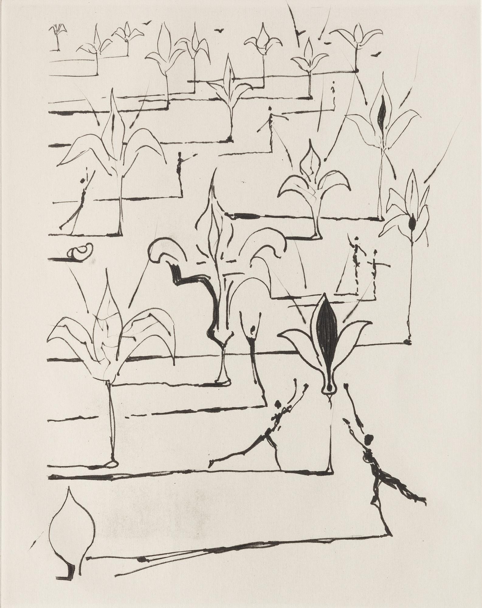Salvador Dalí, "Mao Tse-Toung - Poèmes".