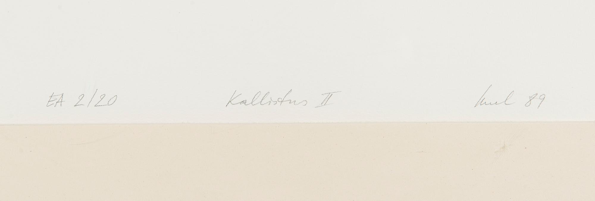 Raul Meel, Kallistus II.