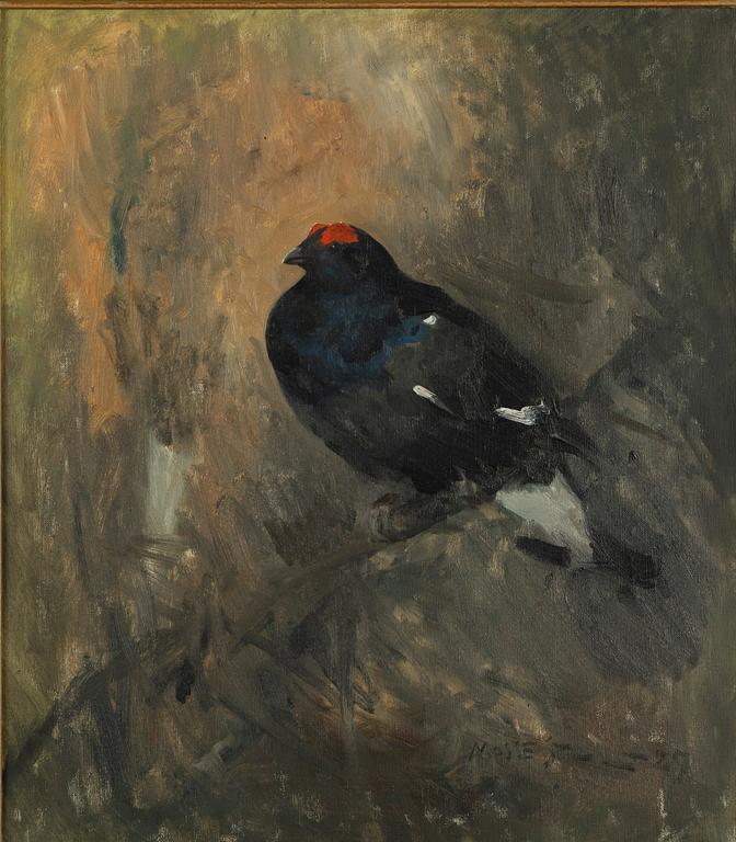 Mosse Stoopendaal, The translation of "Orre" to English is "Grouse.".