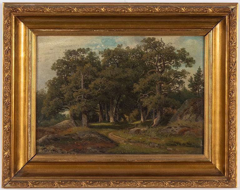 Carl August Fahlgren, "Frisens park, Djurgården".