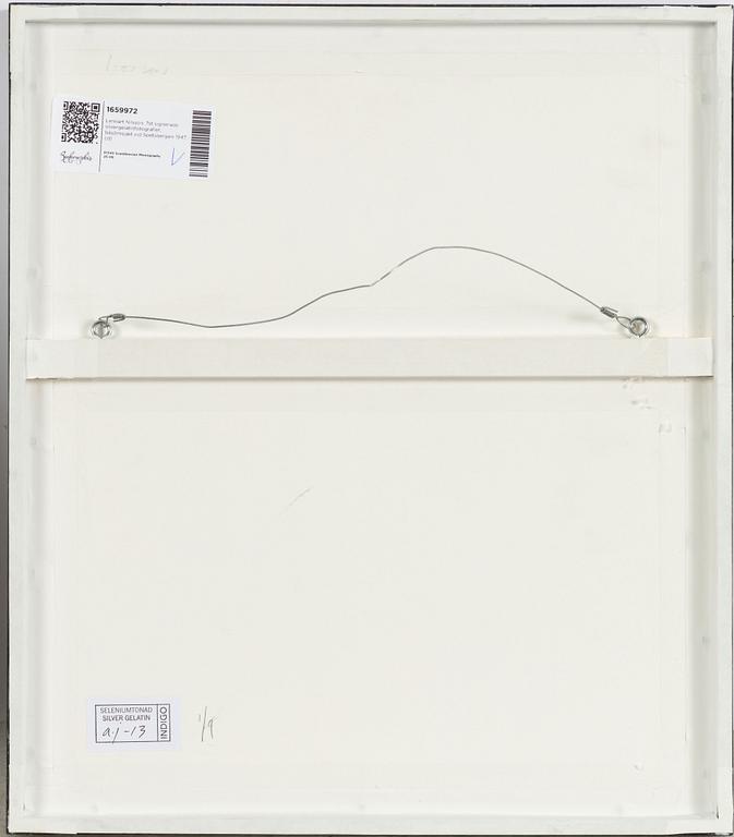 Lennart Nilsson,  "Isbjörnsjakt vid Hvitøya (Vitön), Svalbard, Norge 1947".