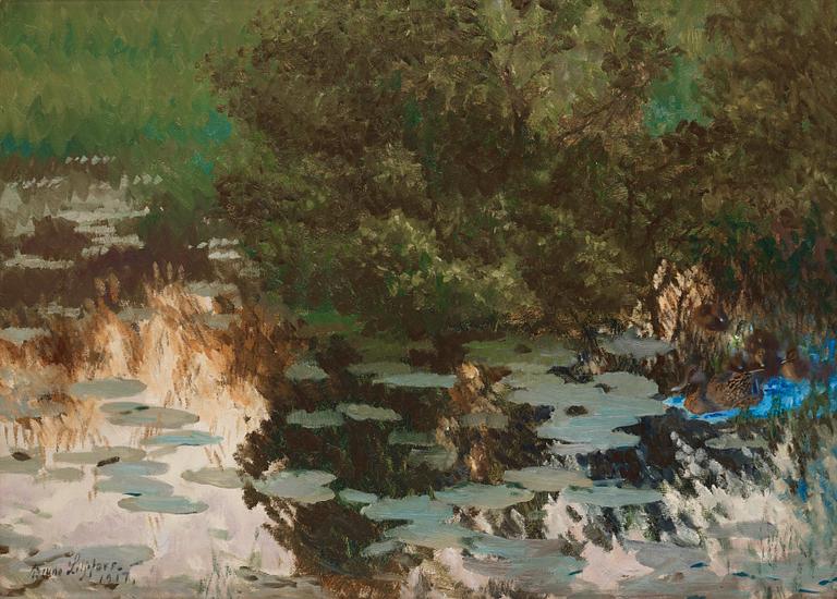 Bruno Liljefors, Mallards amongst Water lilies.