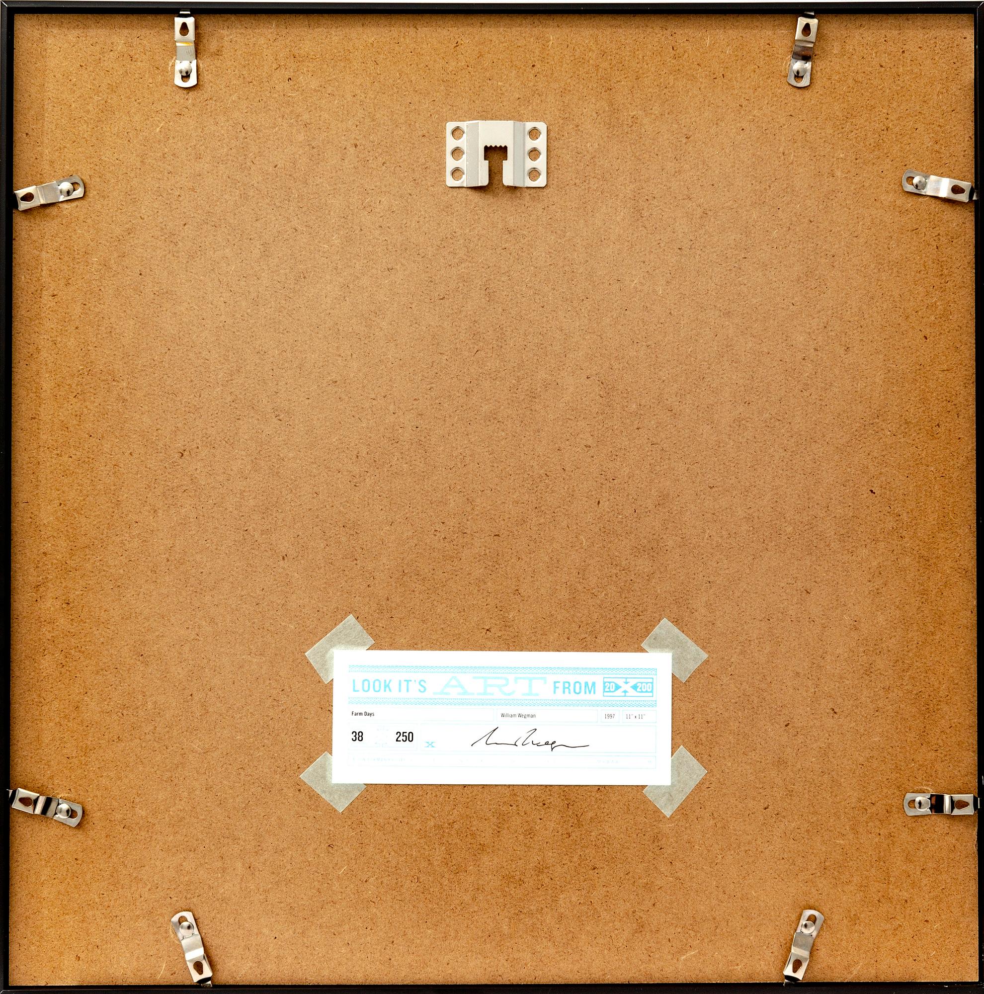 William Wegman, photography signed and dated 1997 on label at back.