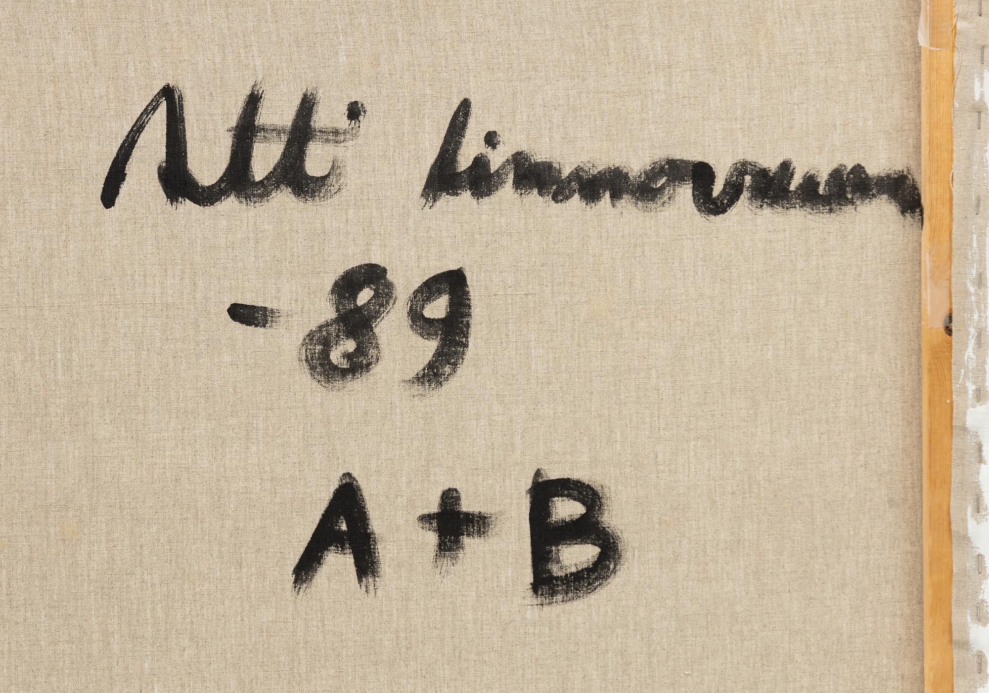 Antti Linnovaara, Untitled, diptych.