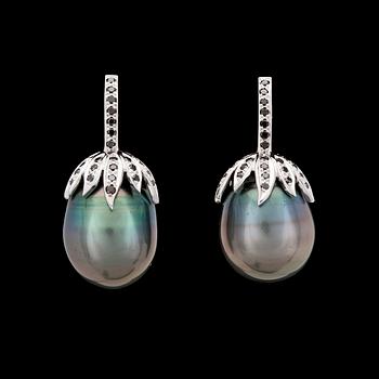 1129. A pair of cultured Tahiti pearl, app. 16 mm, and black diamond earrings.