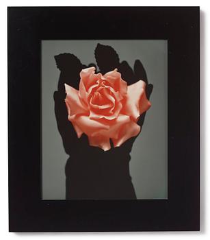 238. Dawid (Björn Dawidsson), "Joyce", 1995.