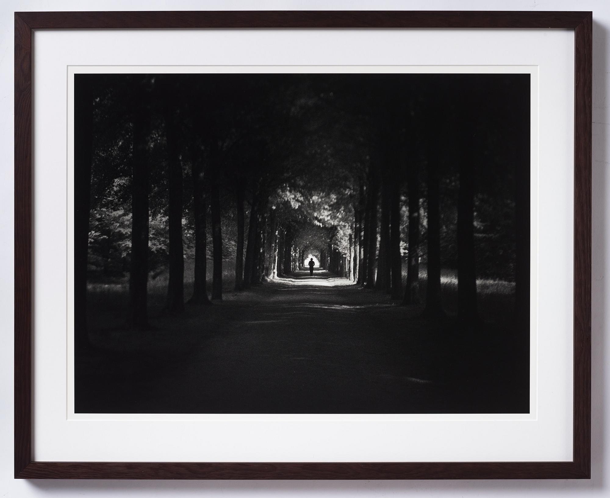 Johan Strindberg, "The Lost Secret of Theodore", 2015.