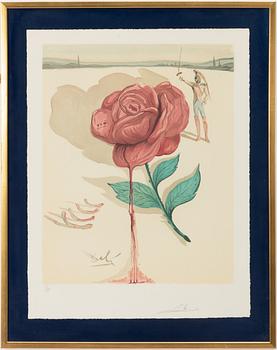 Salvador Dalí, "Don Jose's Flower Song", ur "Carmen".