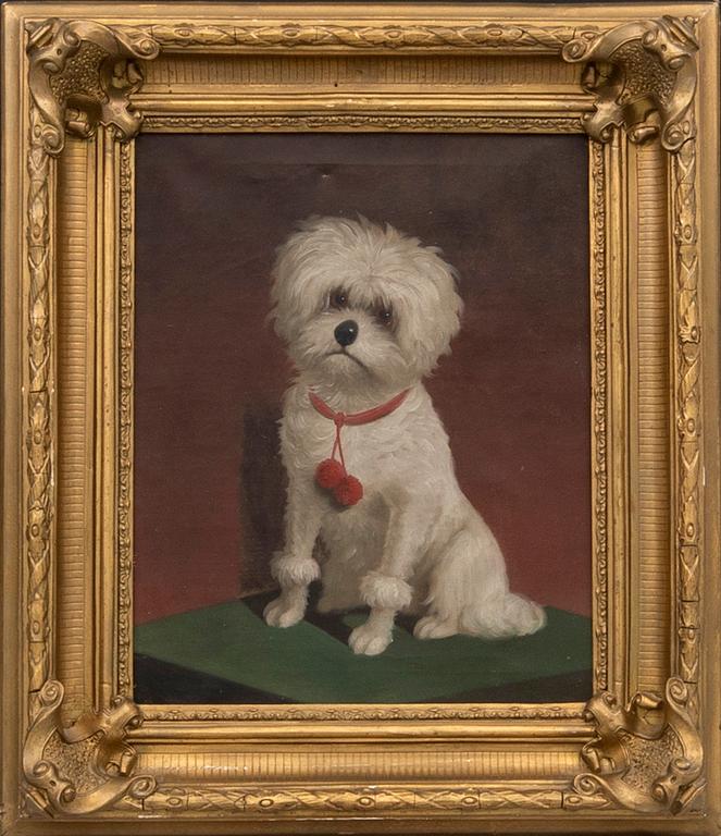 Unknown artist 19th/20th century, Dog with Red Collar.