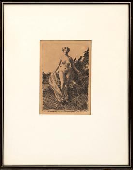 Anders Zorn, etching, 1907, from the unsigned edition from "Ord och Bild", 1910.