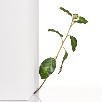 Tony Matelli, "Weed #424".