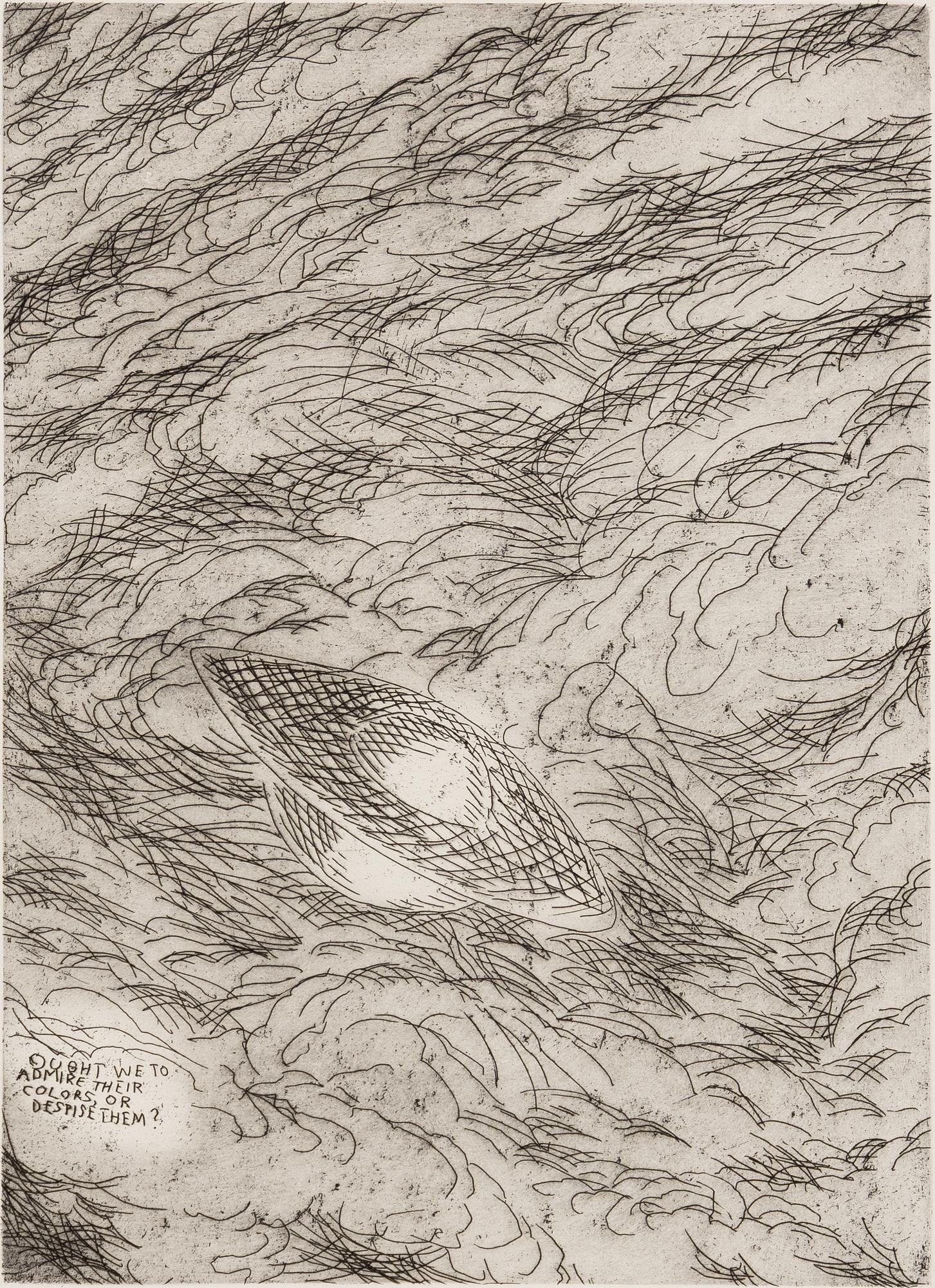 Raymond Pettibon, Untitled (Ought We To Admire Their Colours, Or Despise Them).