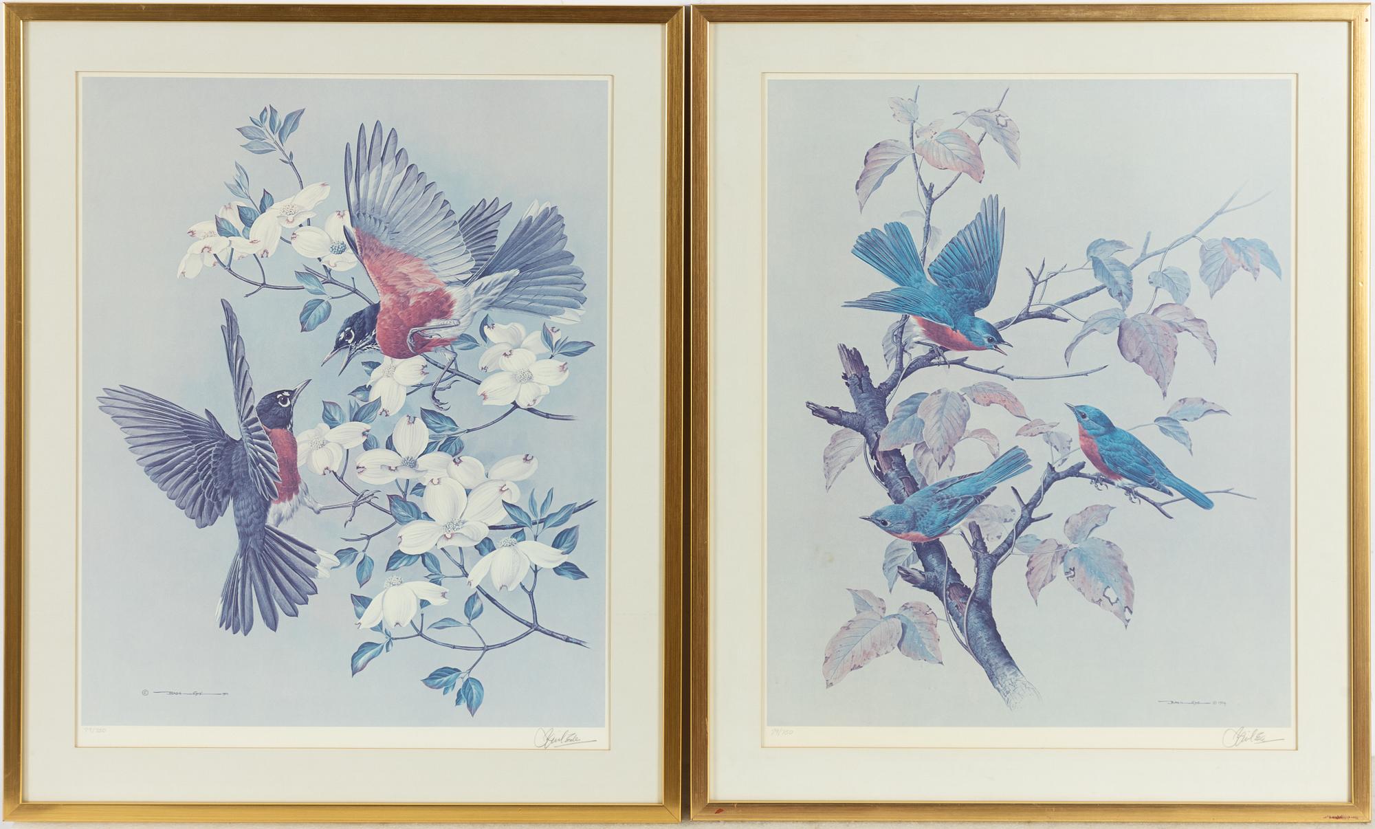 Basil Ede, "American Robins".