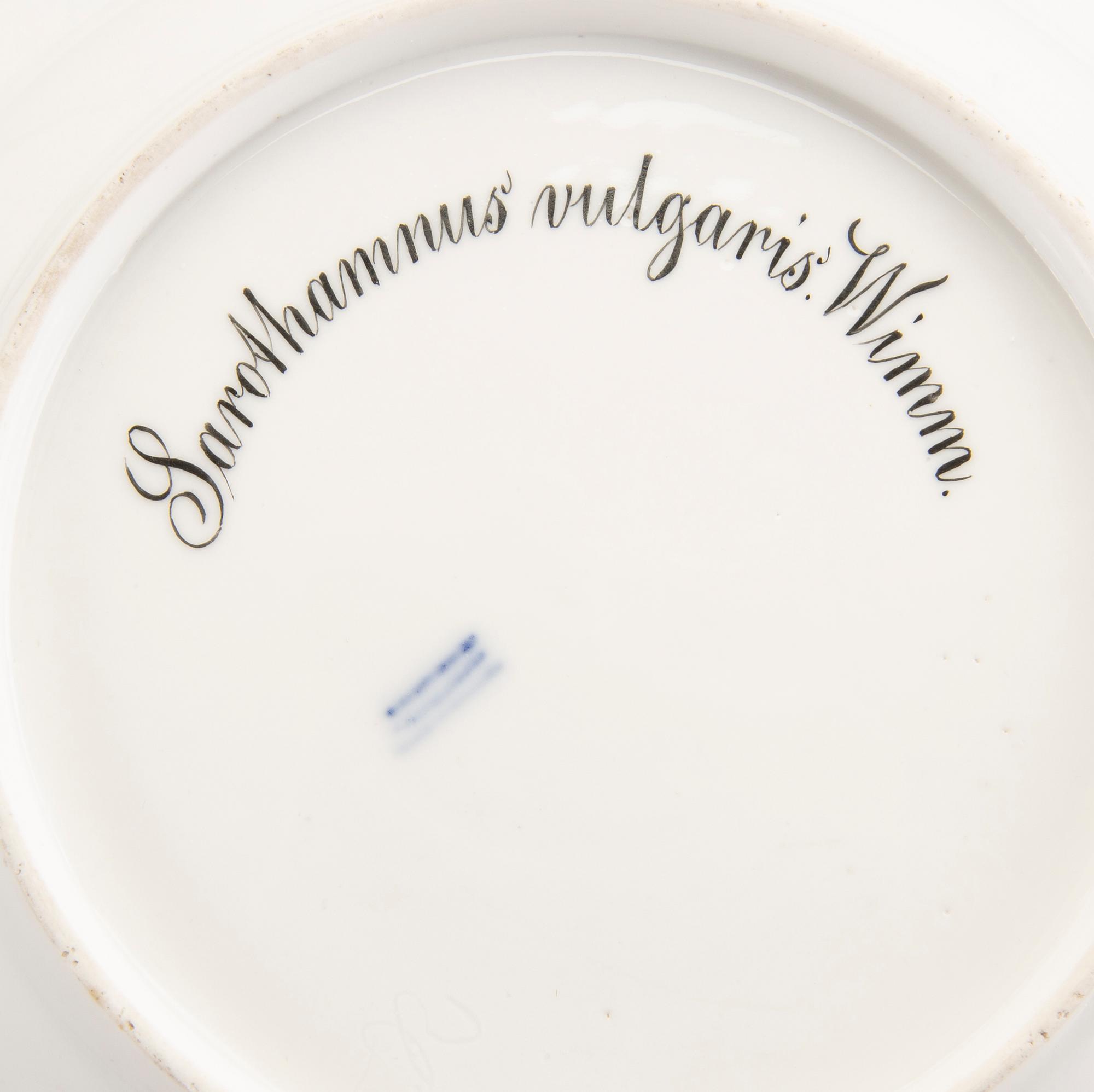 Tallrikar, 2 st, "Flora Danica", Royal Copenhagen Danmark sent 1800-tal.