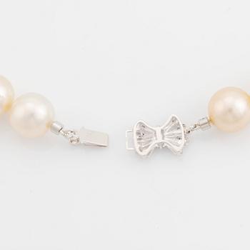 A cultured South Sea pearl necklace.