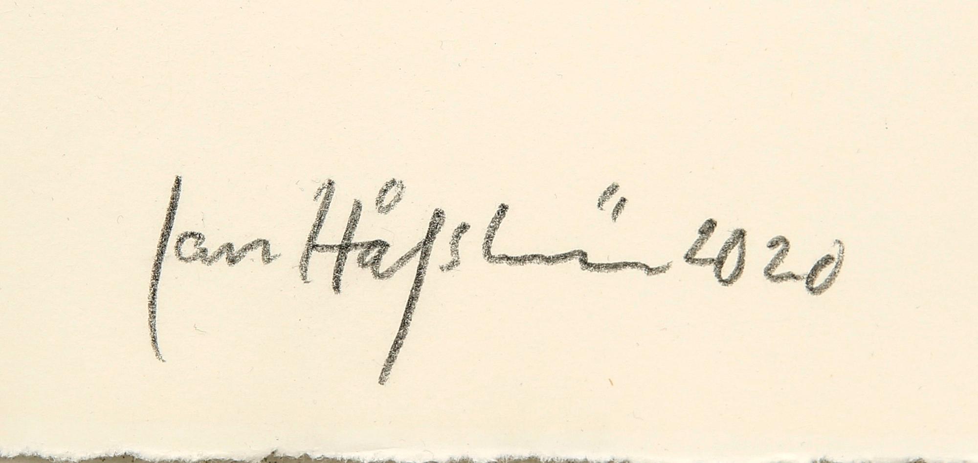 Jan Håfström, "Material from the archive II".