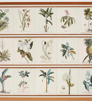 Josef Frank, Florabyrå Linné", jubileumsutgåva, Firma Svenskt Tenn 2007, modell 1050, ed. 43/50.