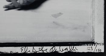 Elisabeth Ohlson, Untitled.