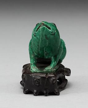 A green glazed biscuit water dropper, in the shape of a frog, Qing dynasty, Kangxi (1662-1722).