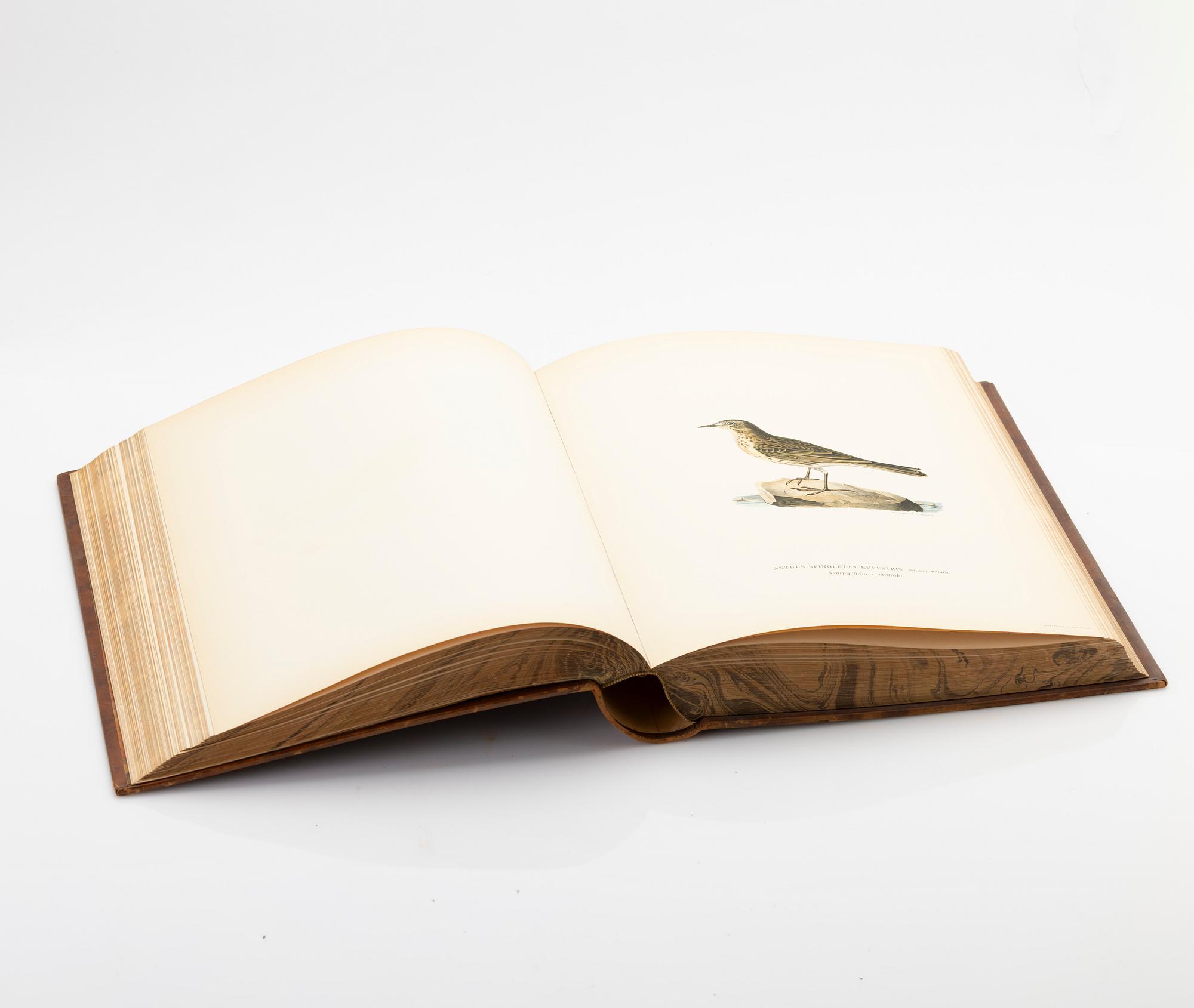 Brothers von Wright, book set, 3 volumes, “Swedish Birds”, A. Börtzells tryckeri AB, Ivar Baarsen, Stockholm, 1929.